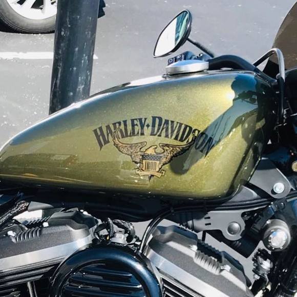 Meet your Posher, Michael - Picture 1 of 1